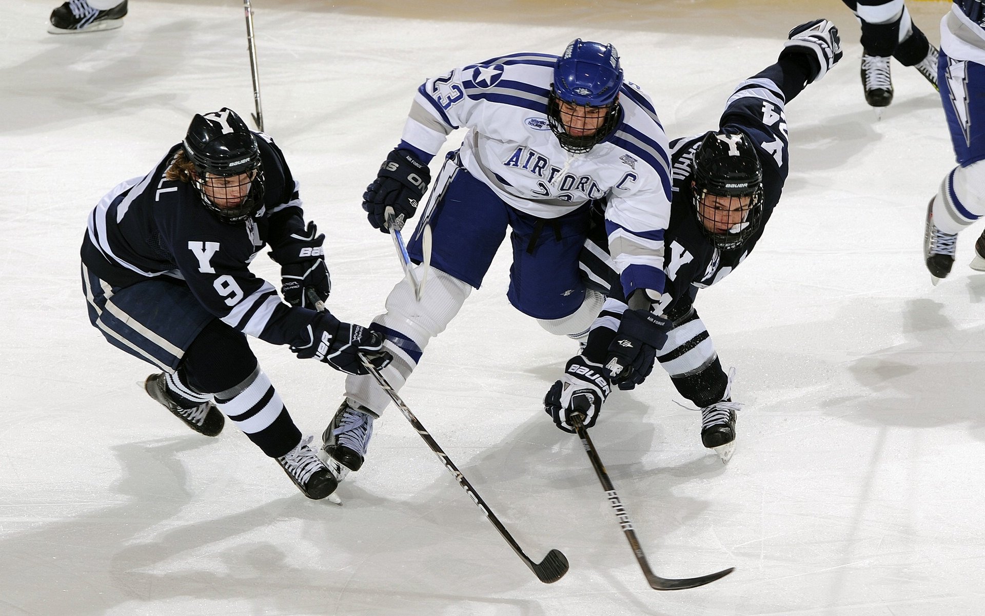 “公牛队新秀秀出色，带领球队开启新篇章”，公牛队新赛季